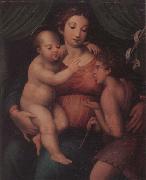 unknow artist The Madonna and child with the infant saint john the baptist china oil painting reproduction